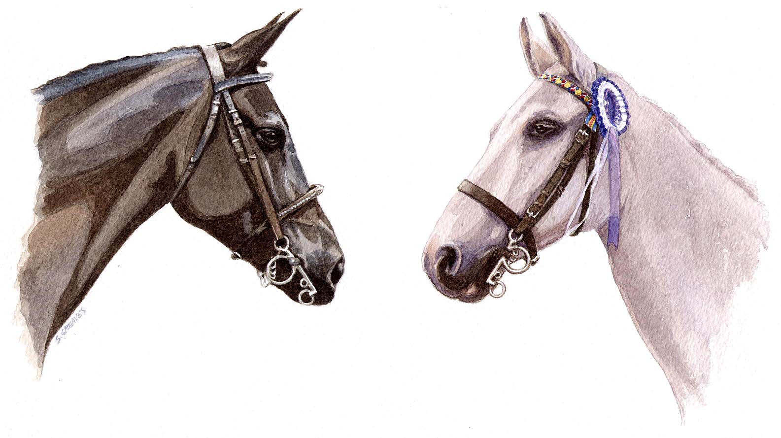 Steve Greaves - Beau & Charne, two horses - watercolour painting