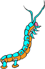 FLITTERBAT - The Video Game - Exotic Caterpillar