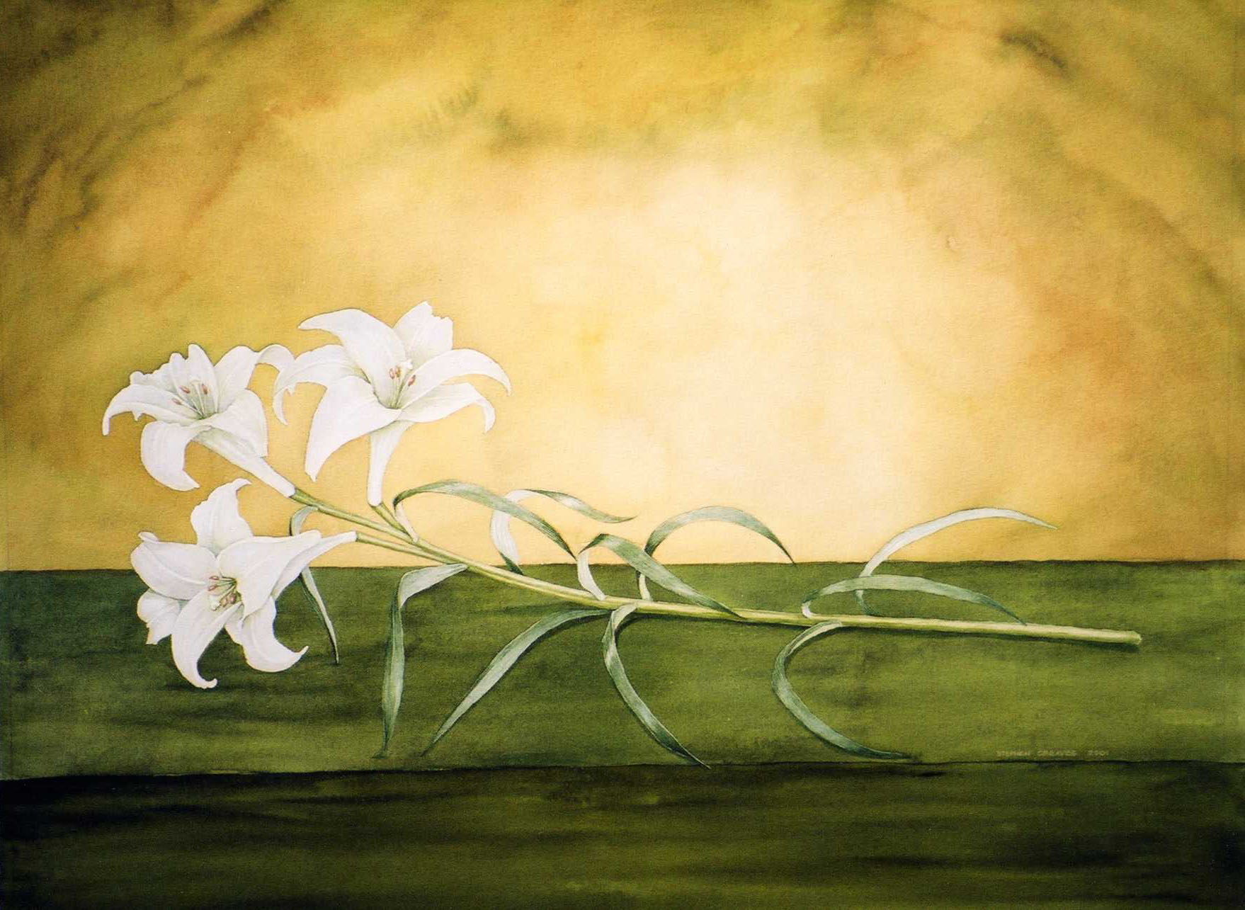 Steve Greaves - Lily No.2 - watercolour flower painting