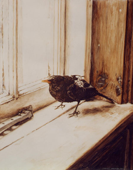 Enlarge: Blackbird - photorealism bird painting