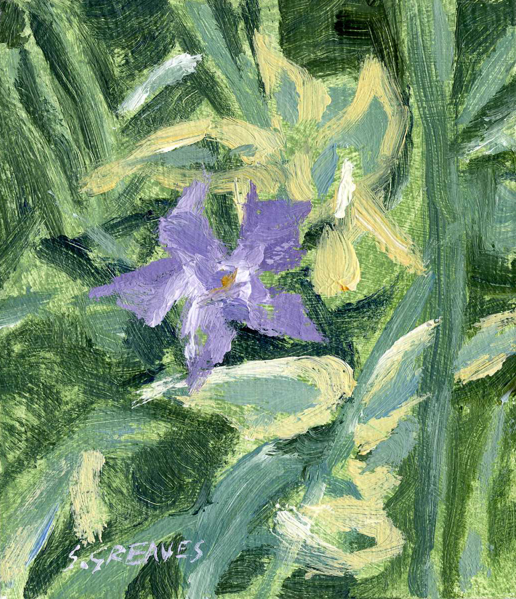 Steve Greaves - Purple Border Plant - flower painting in acrylic