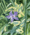 Steve Greaves - Purple Border Plant - flower painting in acrylic