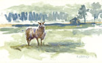 Steve Greaves - Sentinel Sheep - painting in acrylic