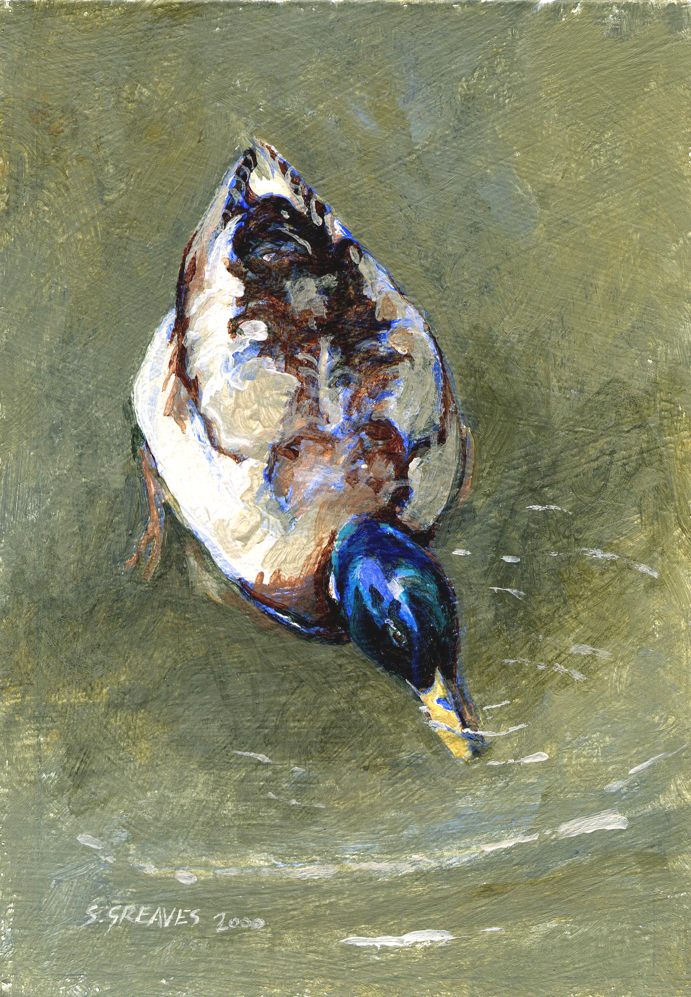 Enlarge: Mallard - bird  painting in acrylic