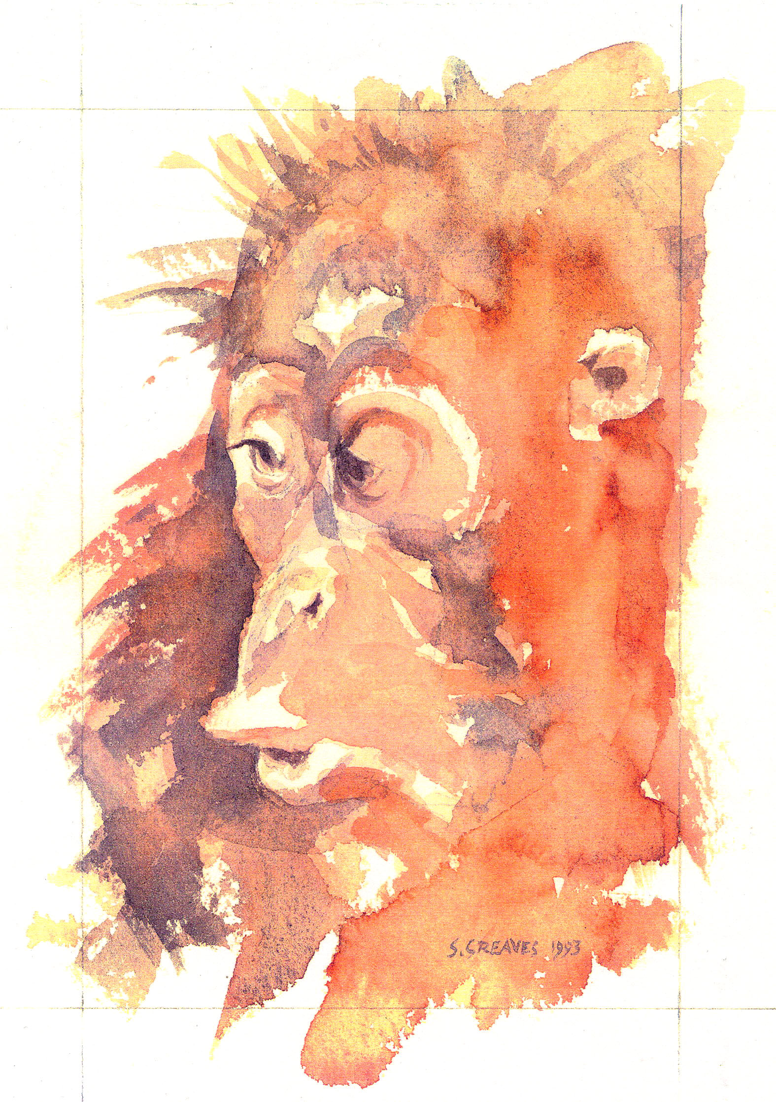 Enlarge: Orangutan - watercolour animal painting